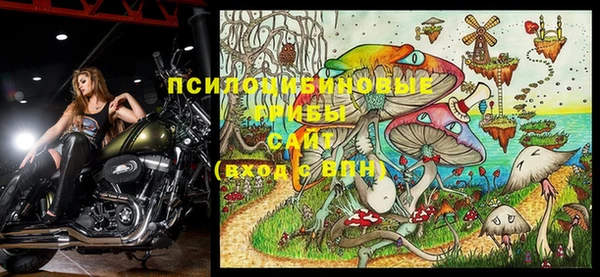 спайс Алексин