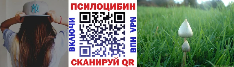 Псилоцибиновые грибы GOLDEN TEACHER Ярцево